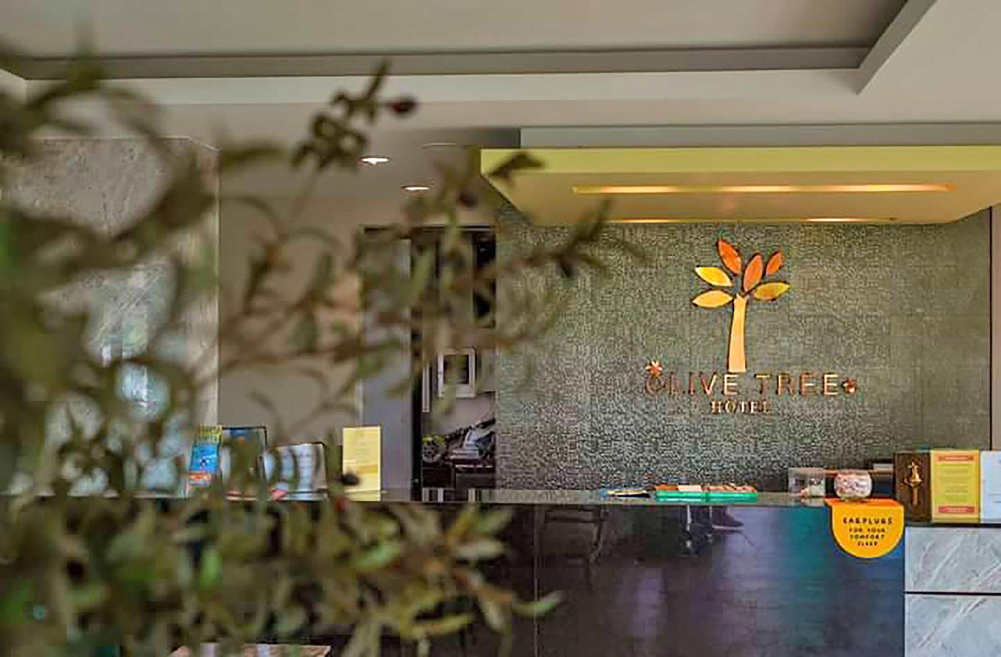 Olive Tree Hotel Pattaya Na Chom Thian Exterior photo